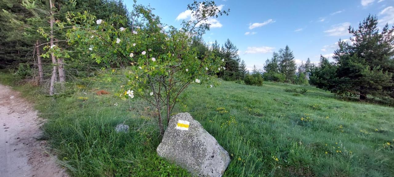 Вила Орцево Vila Ortsevo Exterior foto